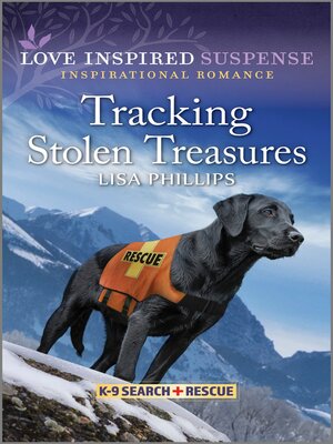 cover image of Tracking Stolen Treasures